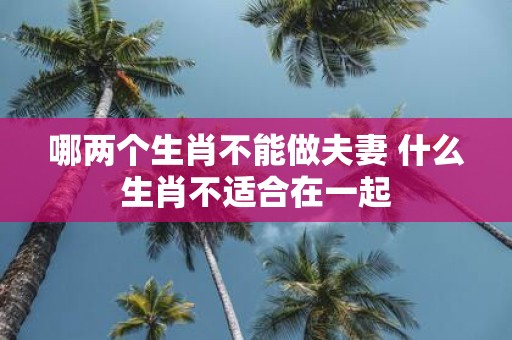 哪两个生肖不能做夫妻 什么生肖不适合在一起