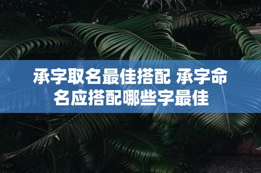 承字取名最佳搭配 承字命名应搭配哪些字最佳