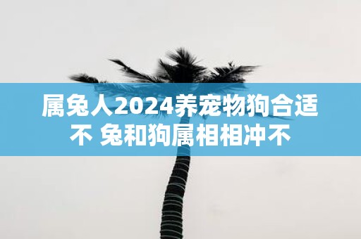 属兔人2025养宠物狗合适不 兔和狗属相相冲不