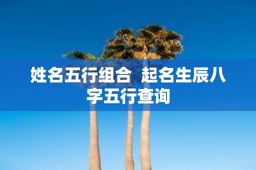 姓名五行组合 起名生辰八字五行查询