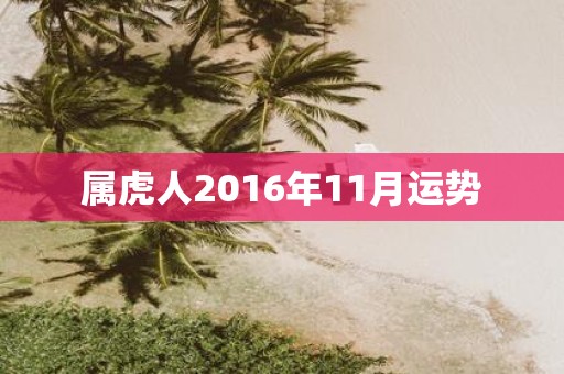 属虎人2016年11月运势