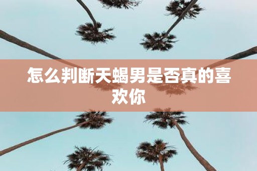 怎么判断天蝎男是否真的喜欢你