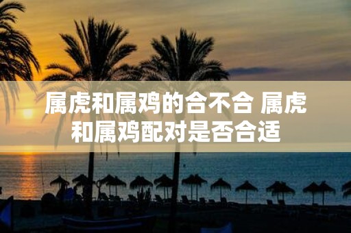 属虎和属鸡的合不合 属虎和属鸡配对是否合适