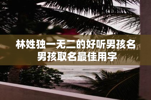 林姓独一无二的好听男孩名 男孩取名最佳用字