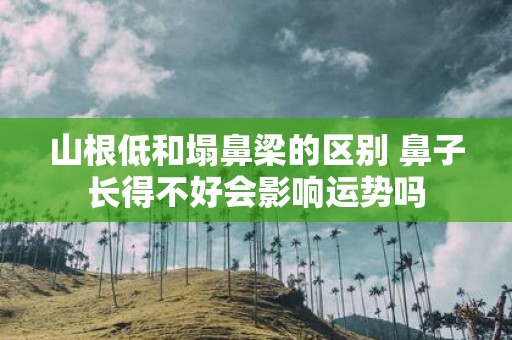 山根低和塌鼻梁的区别 鼻子长得不好会影响运势吗