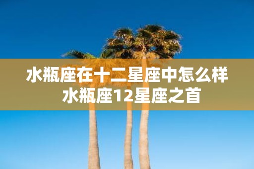 水瓶座在十二星座中怎么样 水瓶座12星座之首
