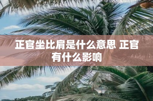 正官坐比肩是什么意思 正官有什么影响