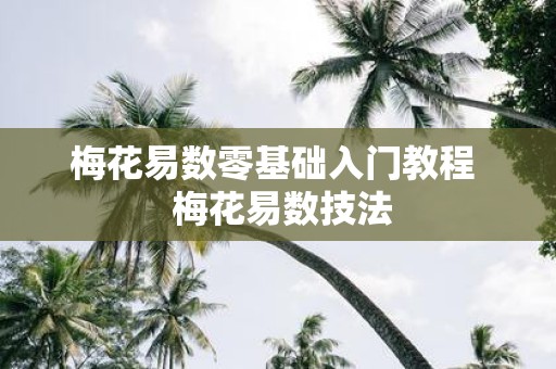 梅花易数零基础入门教程 梅花易数技法