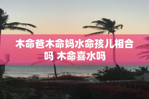 木命爸木命妈水命孩儿相合吗 木命喜水吗