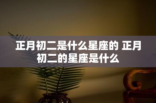 正月初二是什么星座的 正月初二的星座是什么