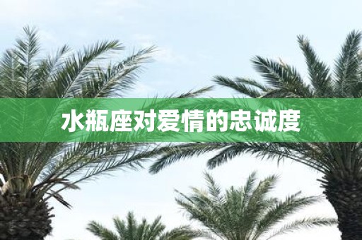 水瓶座对爱情的忠诚度