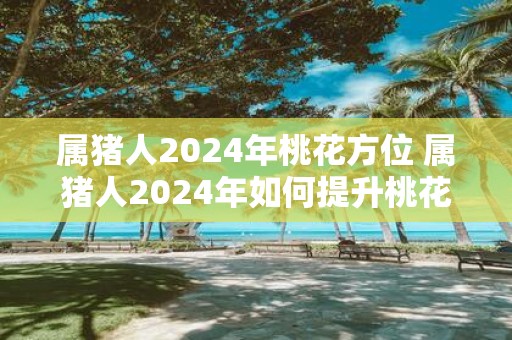 属猪人2025年桃花方位 属猪人2025年如何提升桃花运