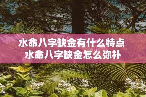 水命八字缺金有什么特点 水命八字缺金怎么弥补