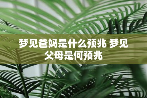 梦见爸妈是什么预兆 梦见父母是何预兆