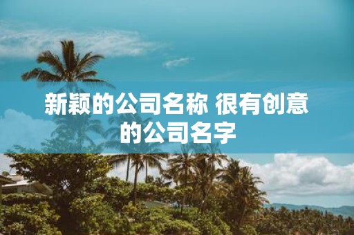 新颖的公司名称 很有创意的公司名字