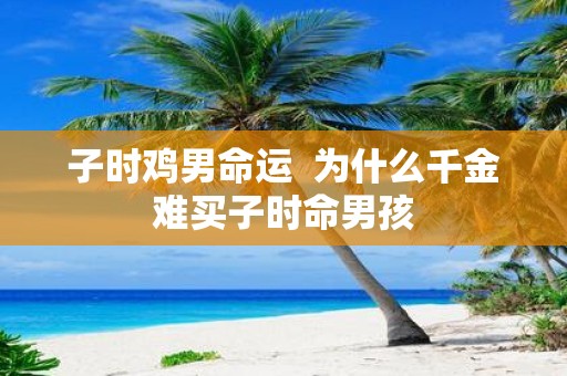 子时鸡男命运 为什么千金难买子时命男孩