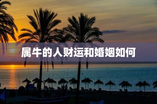 属牛的人财运和婚姻如何