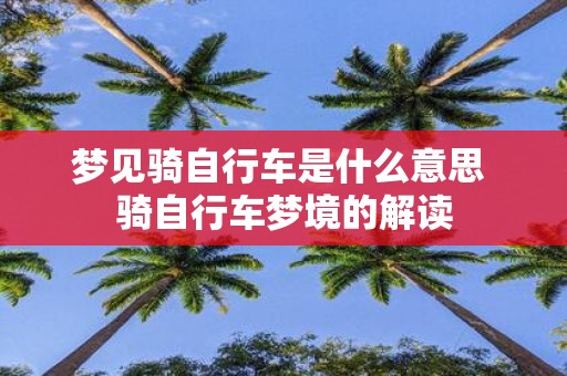 梦见骑自行车是什么意思 骑自行车梦境的解读