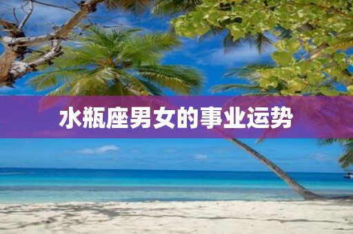水瓶座男女的事业运势