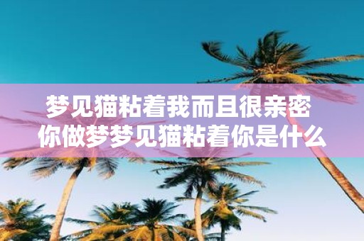 梦见猫粘着我而且很亲密 你做梦梦见猫粘着你是什么意思