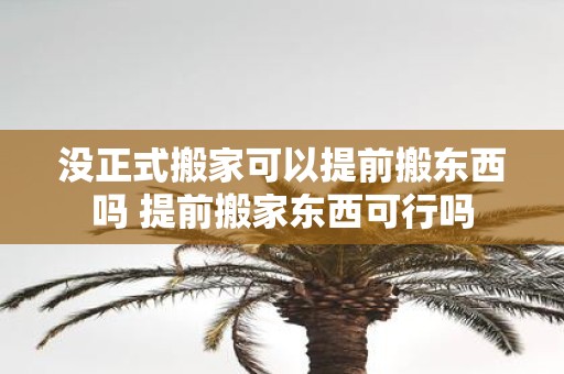 没正式搬家可以提前搬东西吗 提前搬家东西可行吗