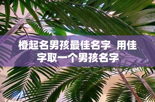 橙起名男孩最佳名字 用佳字取一个男孩名字