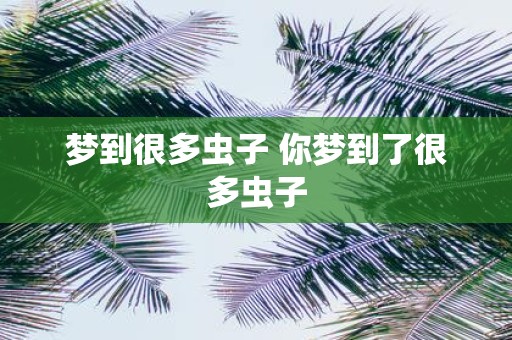梦到很多虫子 你梦到了很多虫子