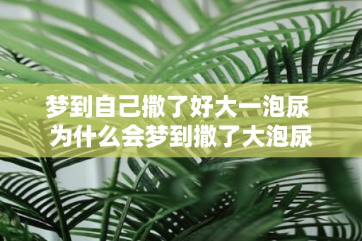梦到自己撒了好大一泡尿 为什么会梦到撒了大泡尿