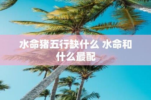 水命猪五行缺什么 水命和什么最配