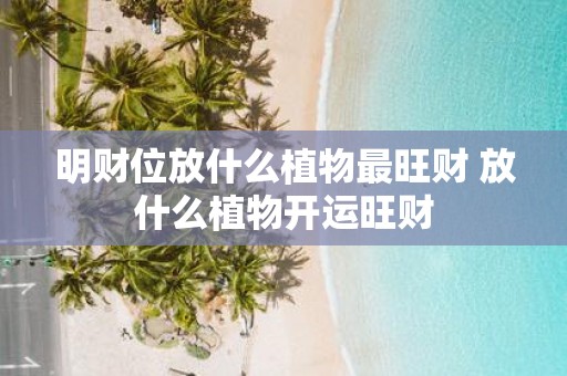 明财位放什么植物最旺财 放什么植物开运旺财