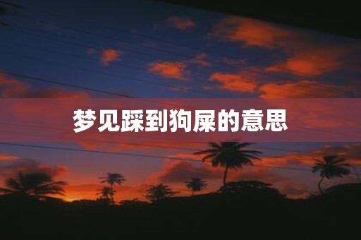 梦见踩到狗屎的意思