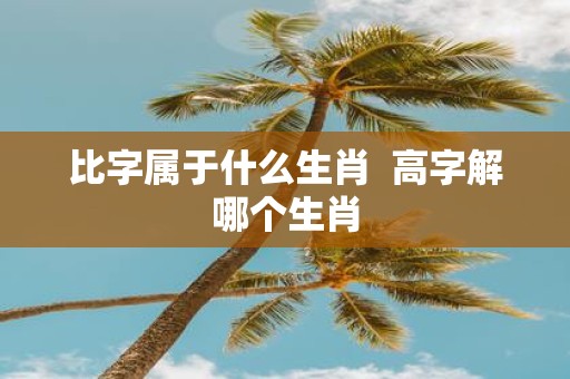 比字属于什么生肖 高字解哪个生肖