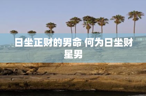 日坐正财的男命 何为日坐财星男