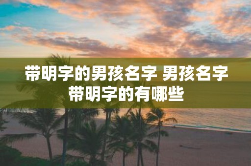 带明字的男孩名字 男孩名字带明字的有哪些