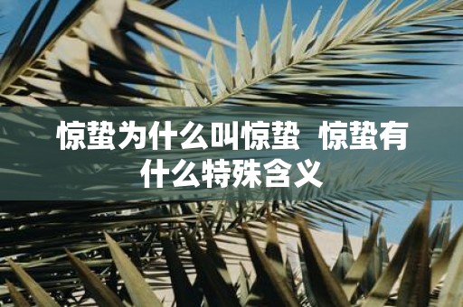 惊蛰为什么叫惊蛰 惊蛰有什么特殊含义