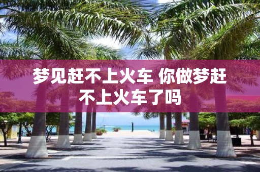 梦见赶不上火车 你做梦赶不上火车了吗