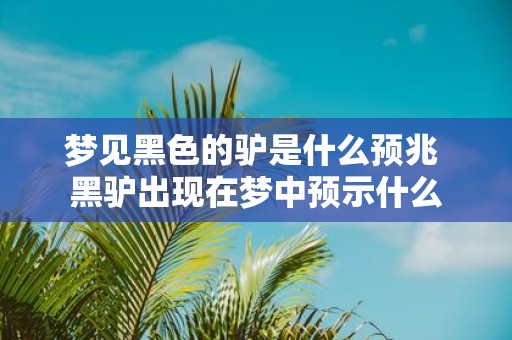 梦见黑色的驴是什么预兆 黑驴出现在梦中预示什么
