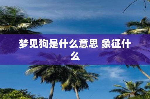 梦见狗是什么意思 象征什么