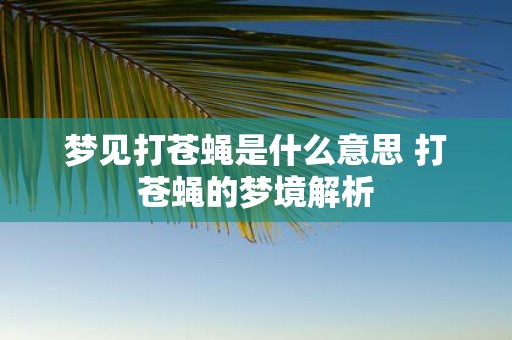 梦见打苍蝇是什么意思 打苍蝇的梦境解析