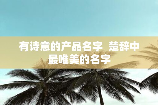 有诗意的产品名字 楚辞中最唯美的名字