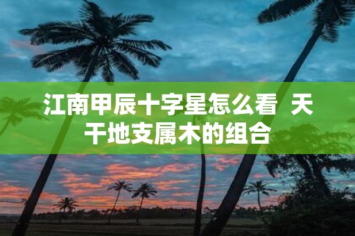 江南甲辰十字星怎么看 天干地支属木的组合