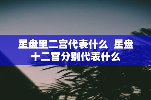 星盘里二宫代表什么 星盘十二宫分别代表什么