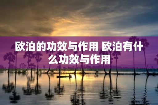 欧泊的功效与作用 欧泊有什么功效与作用