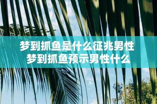 梦到抓鱼是什么征兆男性 梦到抓鱼预示男性什么