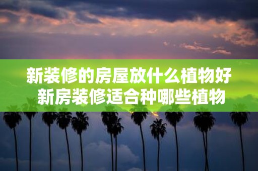 新装修的房屋放什么植物好 新房装修适合种哪些植物