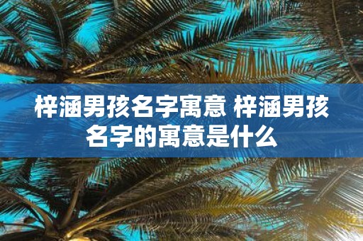 梓涵男孩名字寓意 梓涵男孩名字的寓意是什么