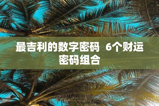 最吉利的数字密码 6个财运密码组合