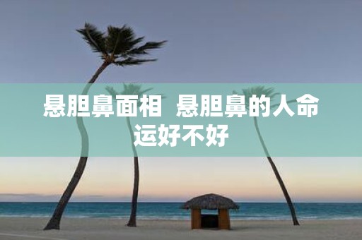 悬胆鼻面相 悬胆鼻的人命运好不好
