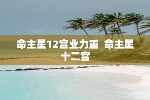 命主星12宫业力重 命主星十二宫