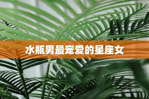 水瓶男最宠爱的星座女